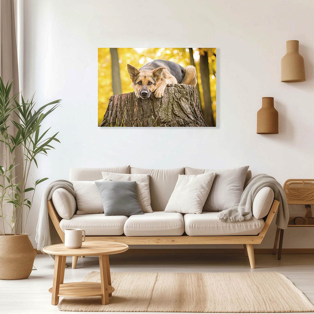 Cuadro Decorativo de Perro Pastor Alemán #43  90 X 45