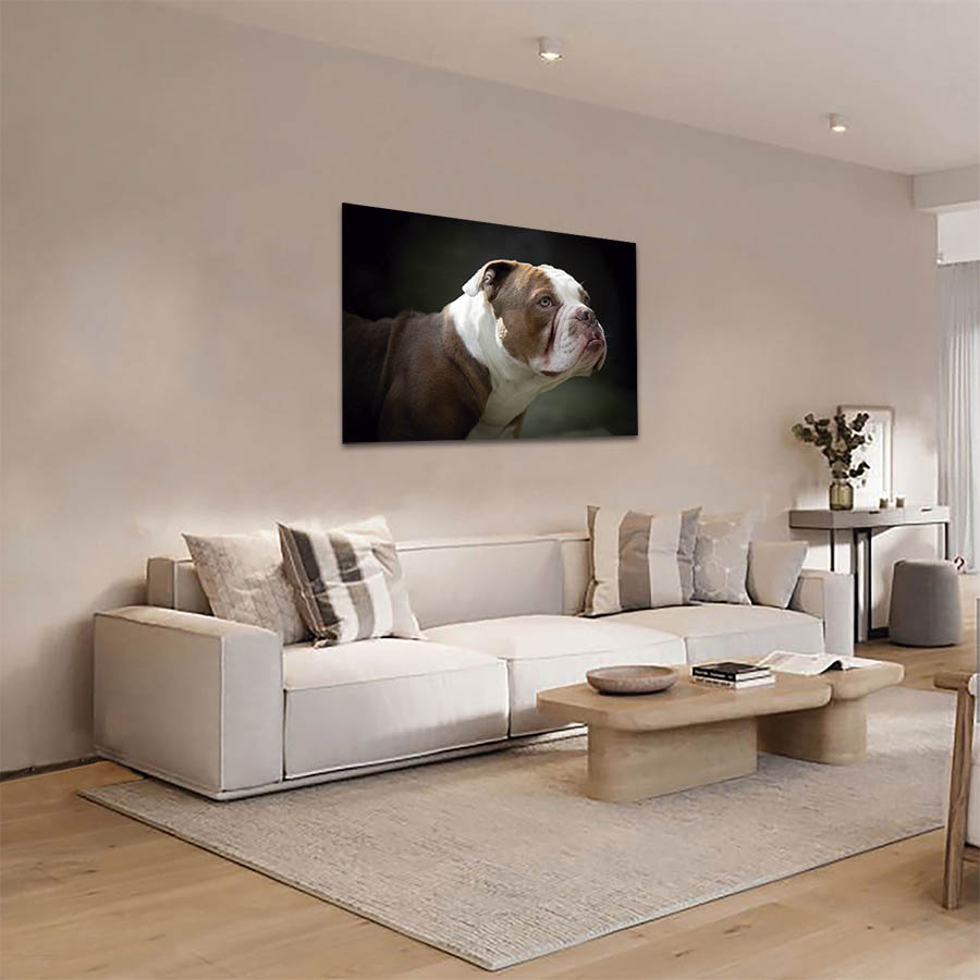 Cuadro Decorativo de Perro Buldog #06  90 X 60