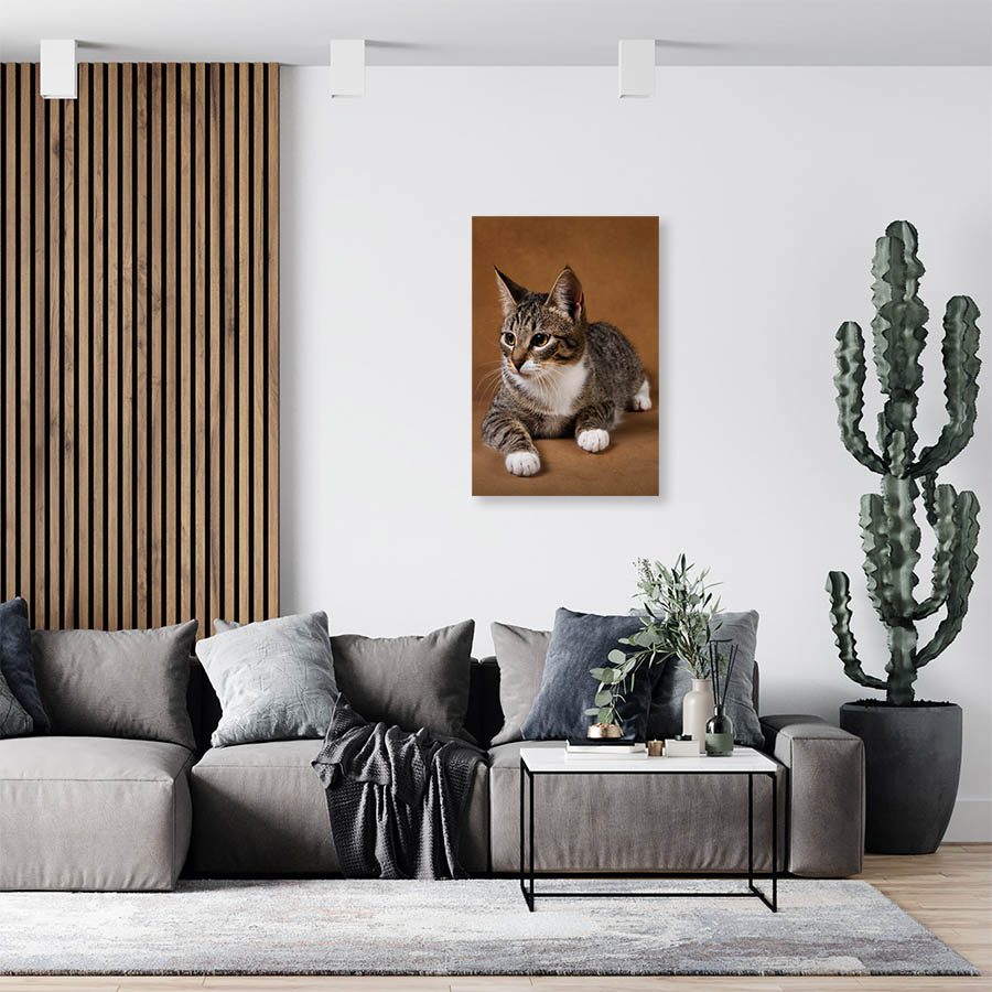 Cuadro Decorativo de Gato Gris Atigrado con Patitas Blancas #509  60 X 40