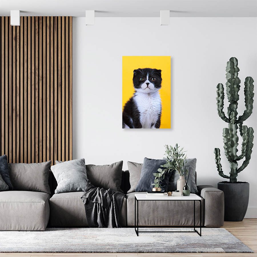 Cuadro Decorativo de Gato Negro con Blanco #503  120 X 60