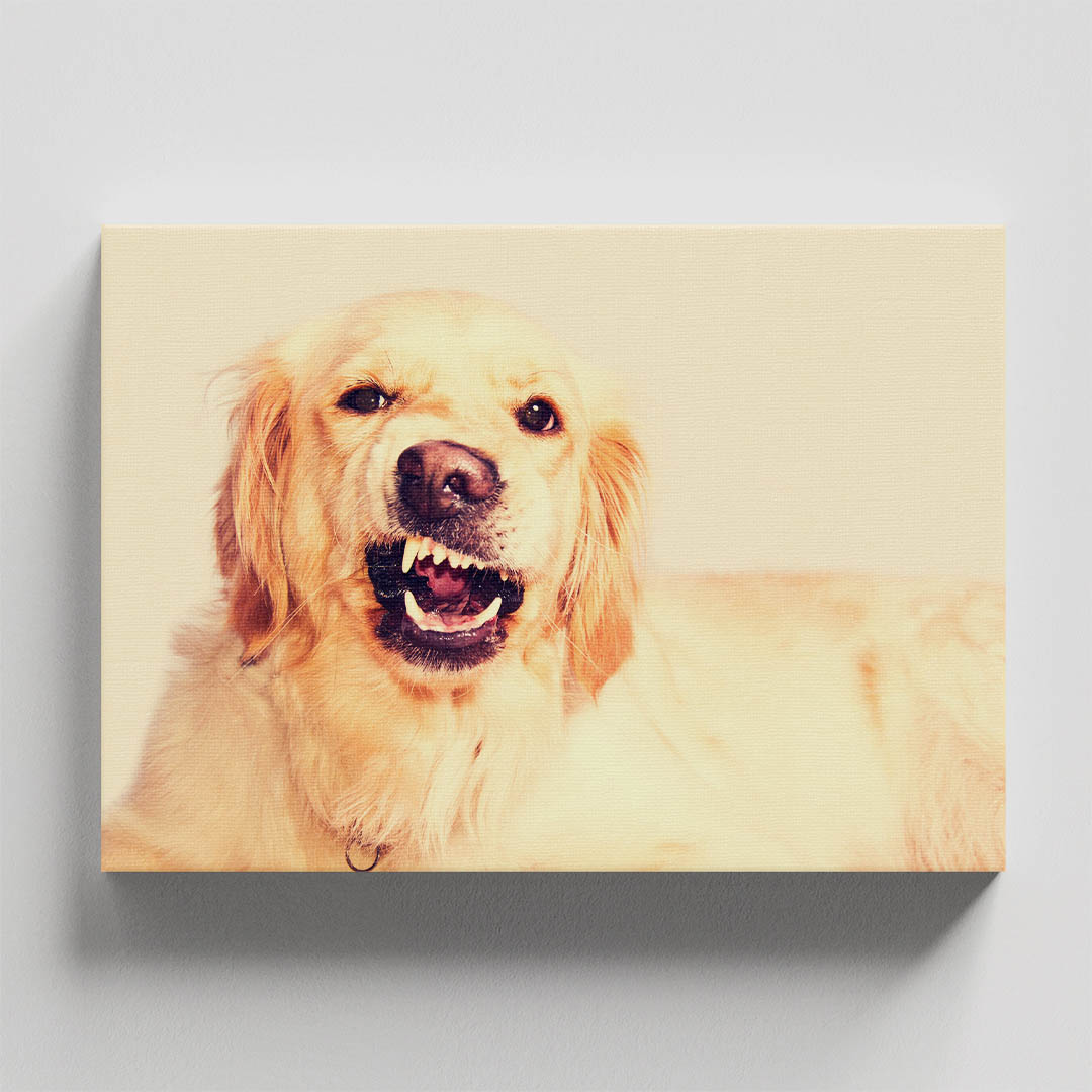 Cuadro Decorativo de Perro Golden #26  135 X 90