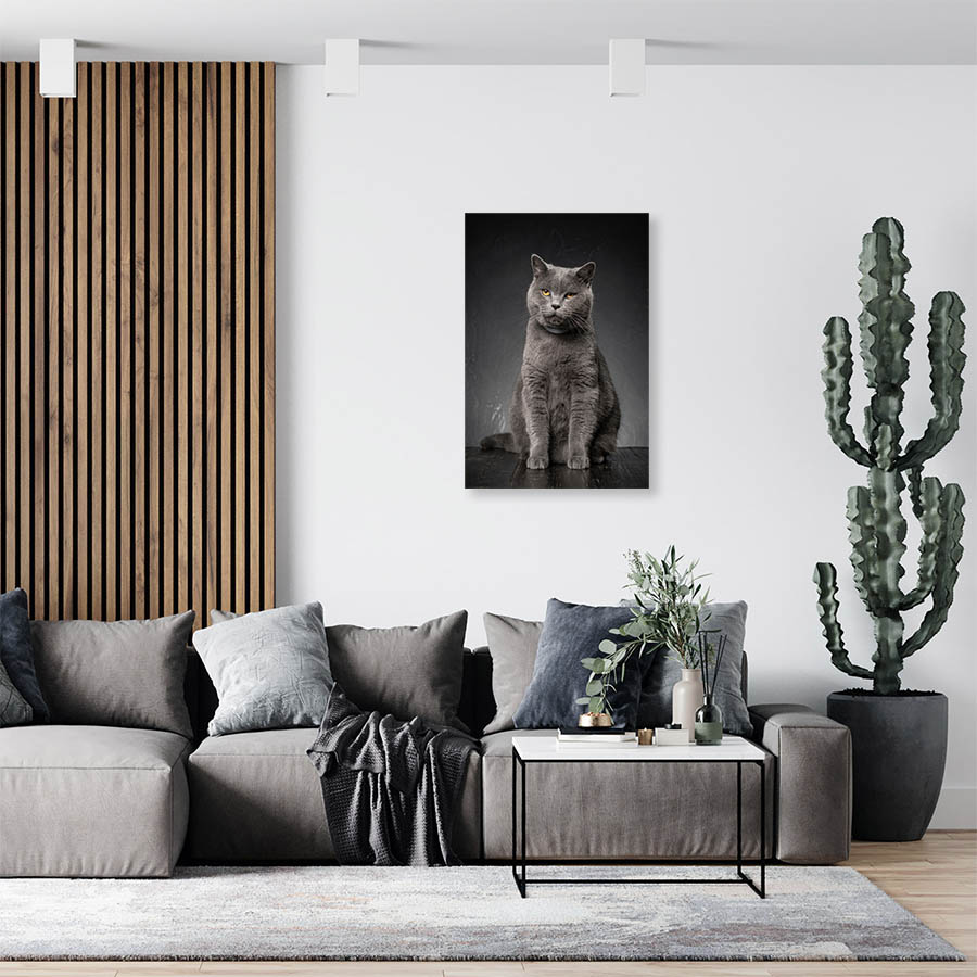 Cuadro Decorativo de Gato Gris #516  135 X 90