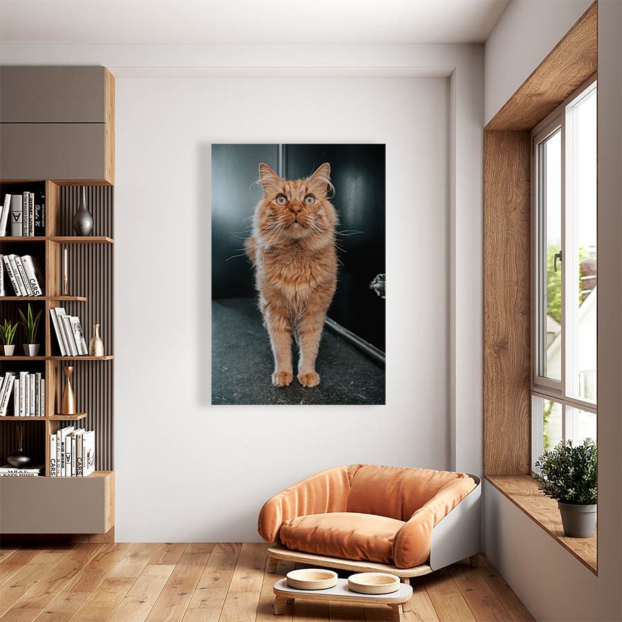 Cuadro Decorativo de Gato Atigrado Café Claro #530  60 X 40