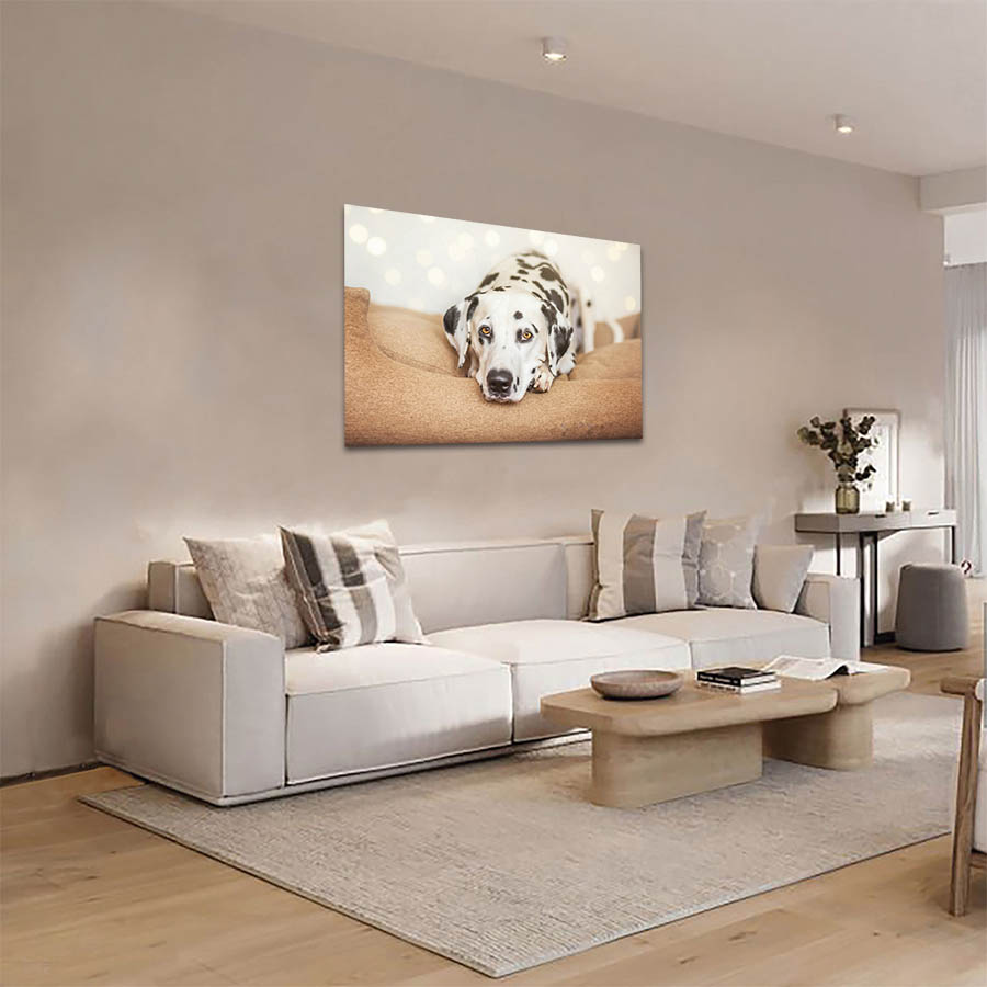 Cuadro Decorativo de Perro Dálmata #54  120 X 60