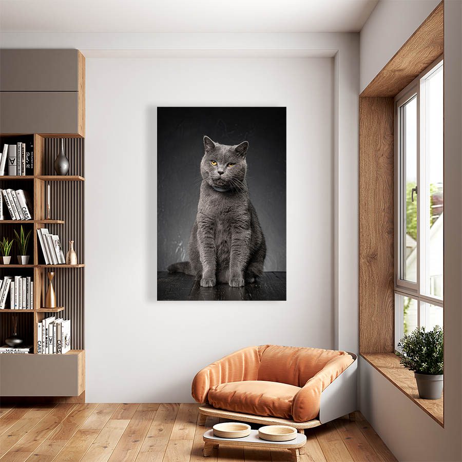Cuadro Decorativo de Gato Gris #516  135 X 90