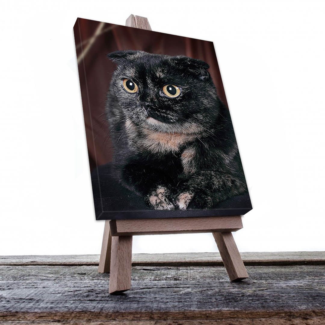 Cuadro Decorativo de Gato Persa Negro #549  120 X 60