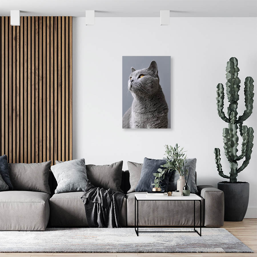 Cuadro Decorativo de Gato Gris #538  120 X 60