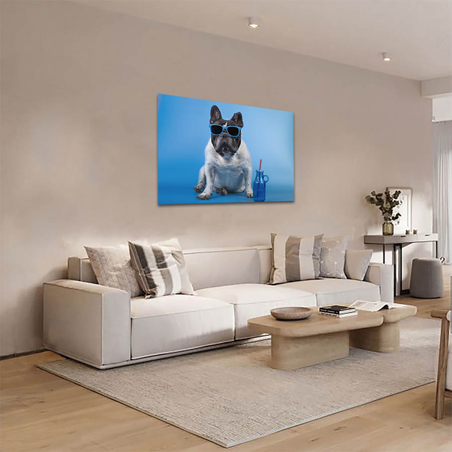 Cuadro Decorativo de Perro Pug Blanco con Lentes #25  90 X 45