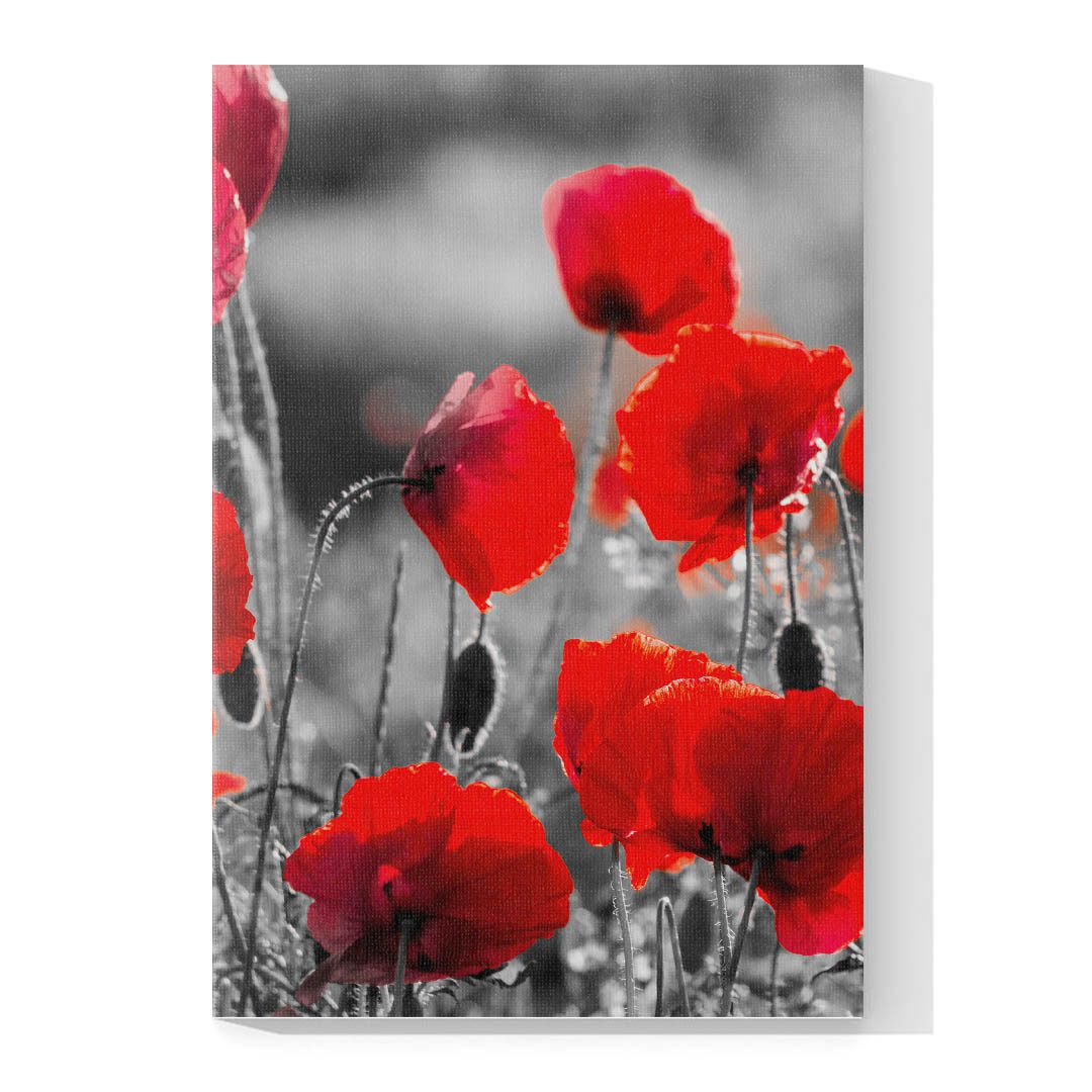 Set de 3 Cuadros Decorativos de Flores Grises con Vivos Rojos 60 X 40