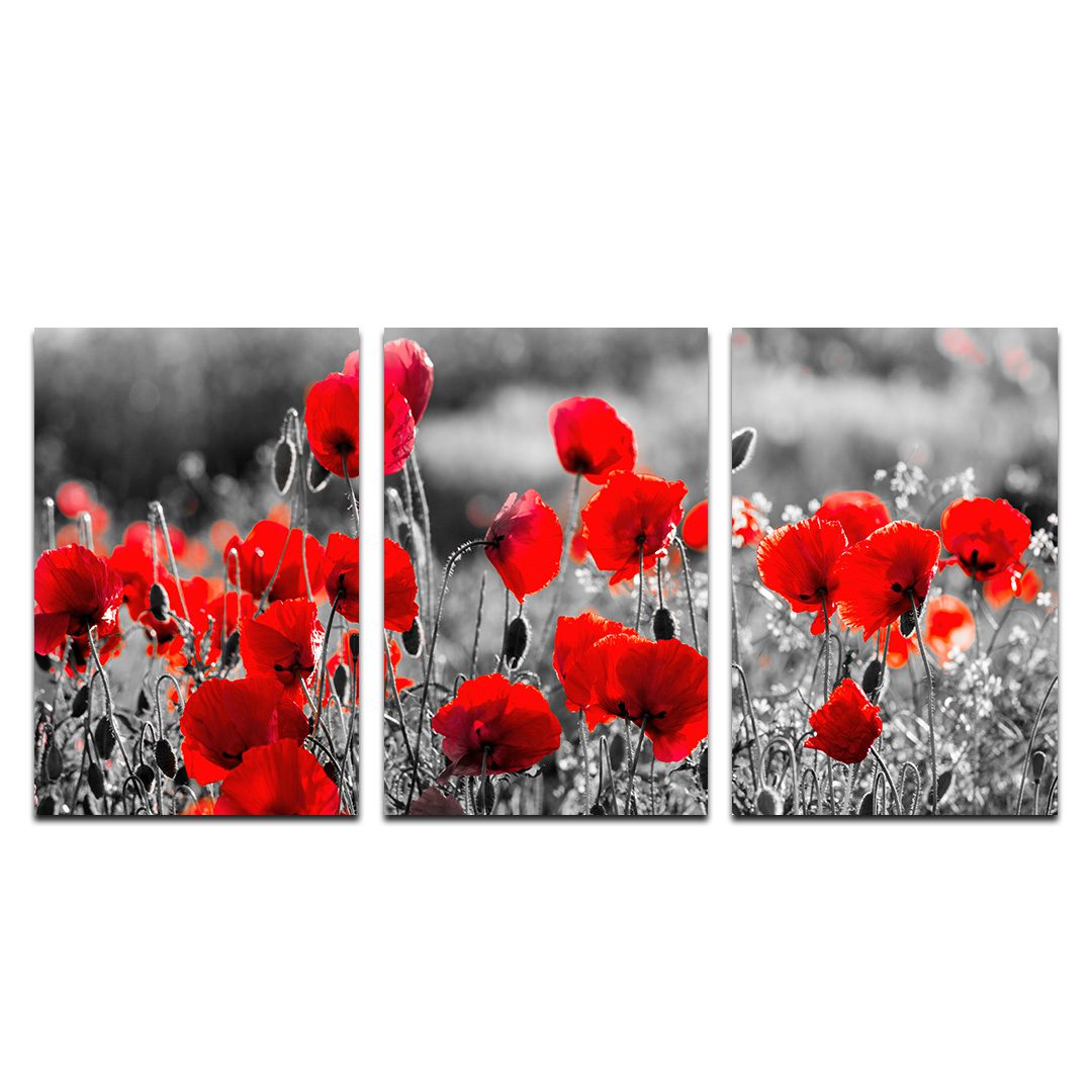 Set de 3 Cuadros Decorativos de Flores Grises con Vivos Rojos 60 X 40