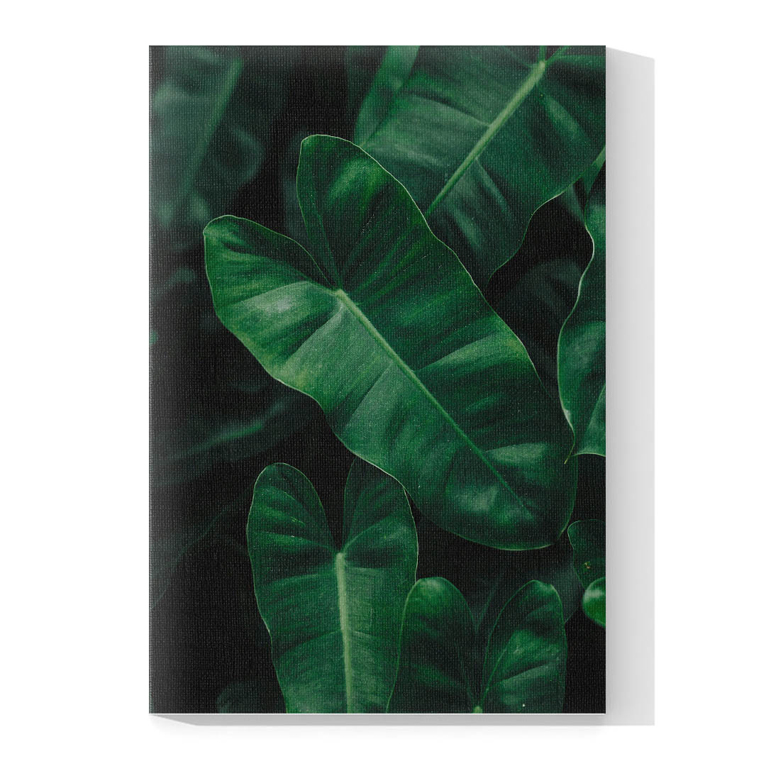 Set de 3 Cuadros Decorativos Hojas Verdes. 60 X 40