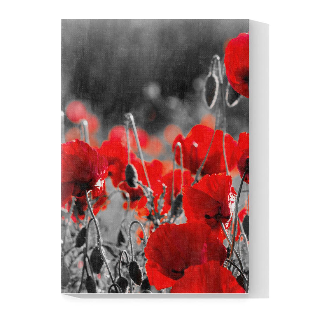 Set de 3 Cuadros Decorativos de Flores Grises con Vivos Rojos 60 X 40