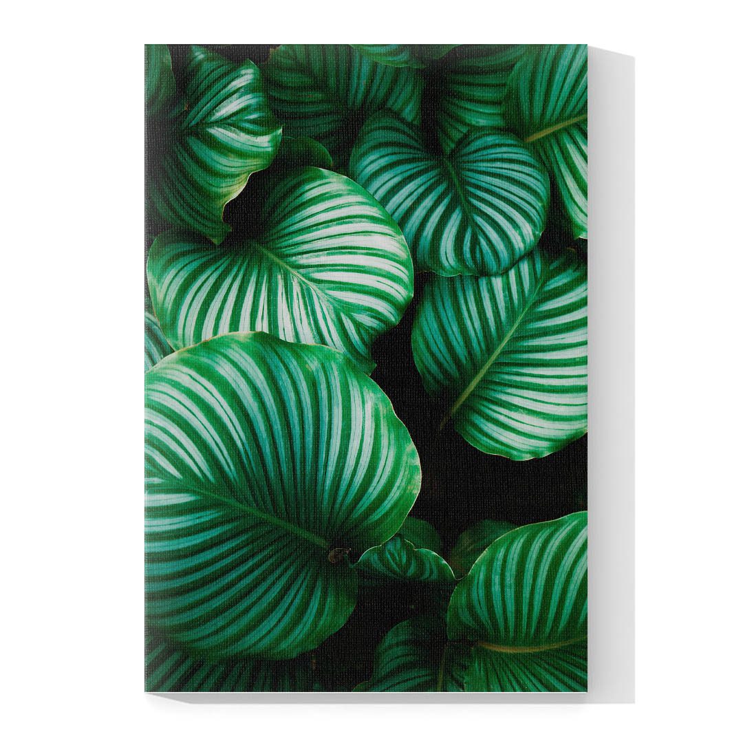 Set de 3 Cuadros Decorativos Hojas Verdes. 60 X 40