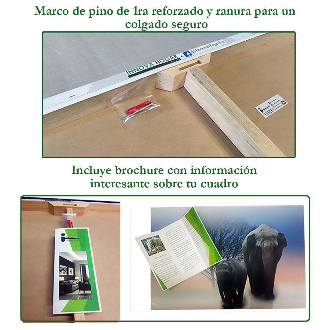 Set de 3 Cuadros Decorativos Psicodélicos  60 X 40