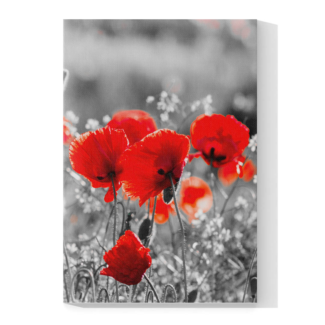 Set de 3 Cuadros Decorativos de Flores Grises con Vivos Rojos 60 X 40