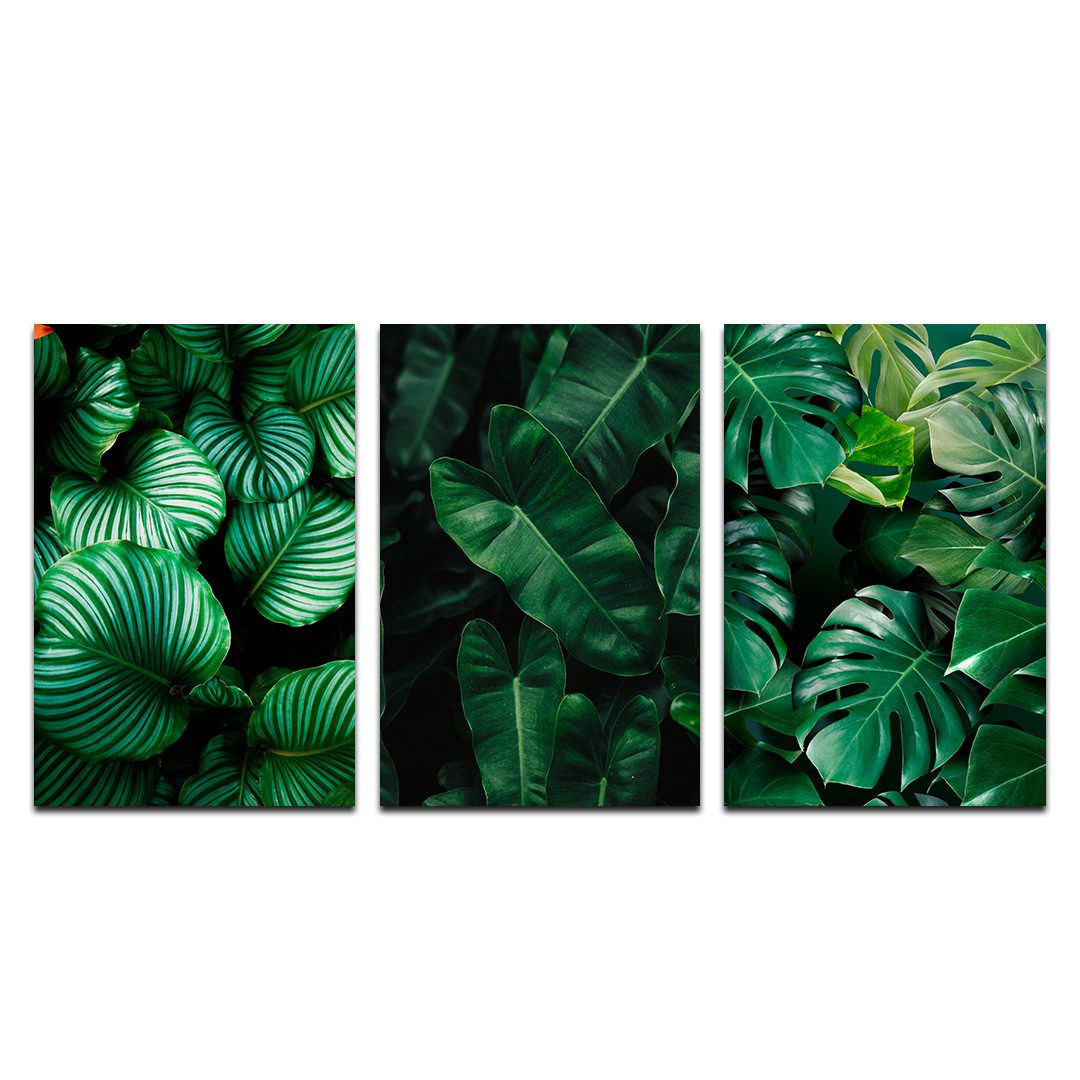 Set de 3 Cuadros Decorativos Hojas Verdes. 60 X 40