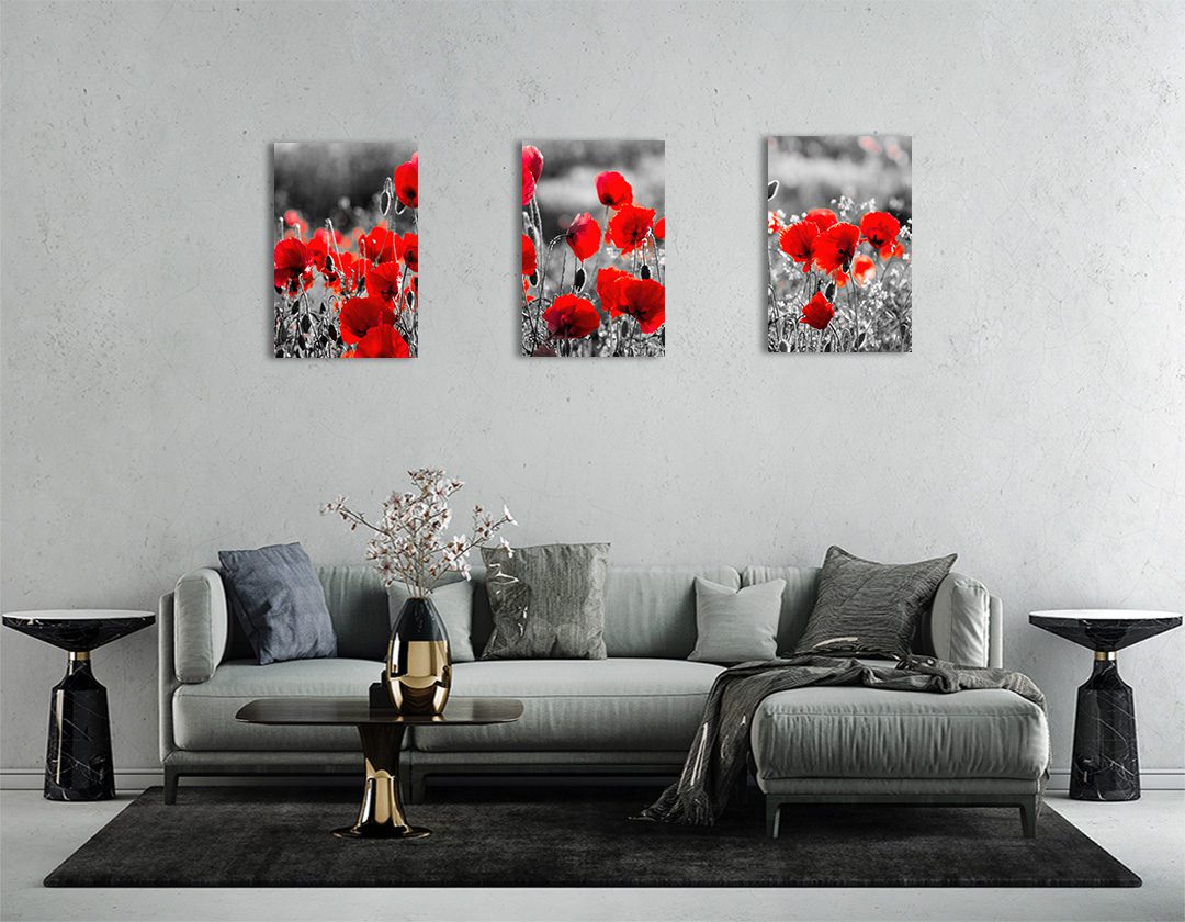 Set de 3 Cuadros Decorativos de Flores Grises con Vivos Rojos 60 X 40