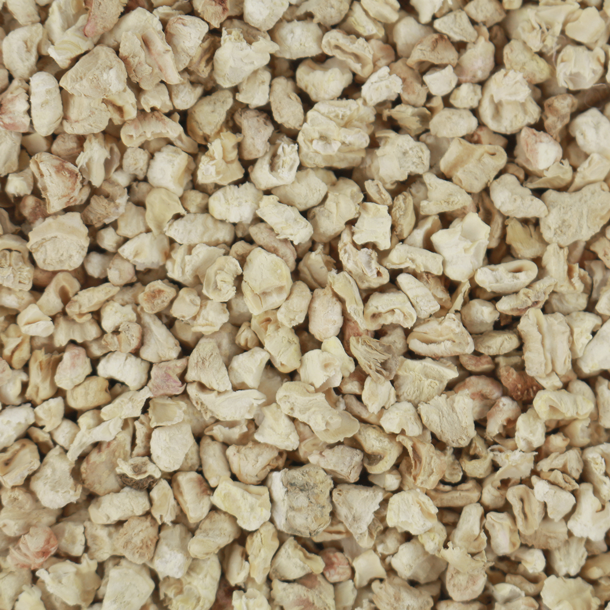 Bioinvert arena para gatos de maíz 3kg arenero natural ecológico para mascotas