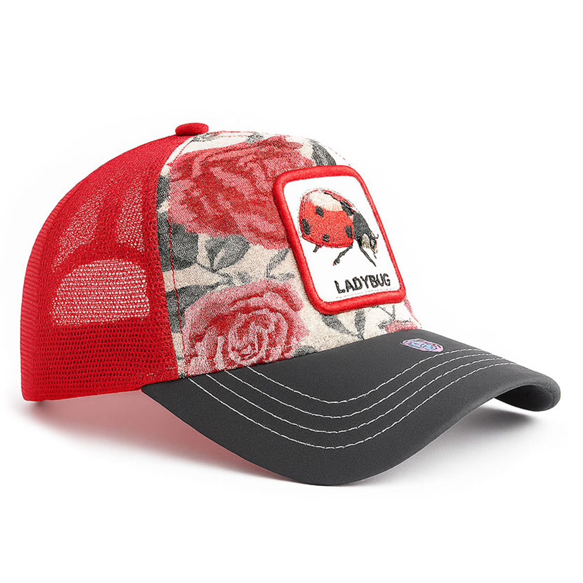 Gorra Knite Ladybug cachucha mujer visera tornasol