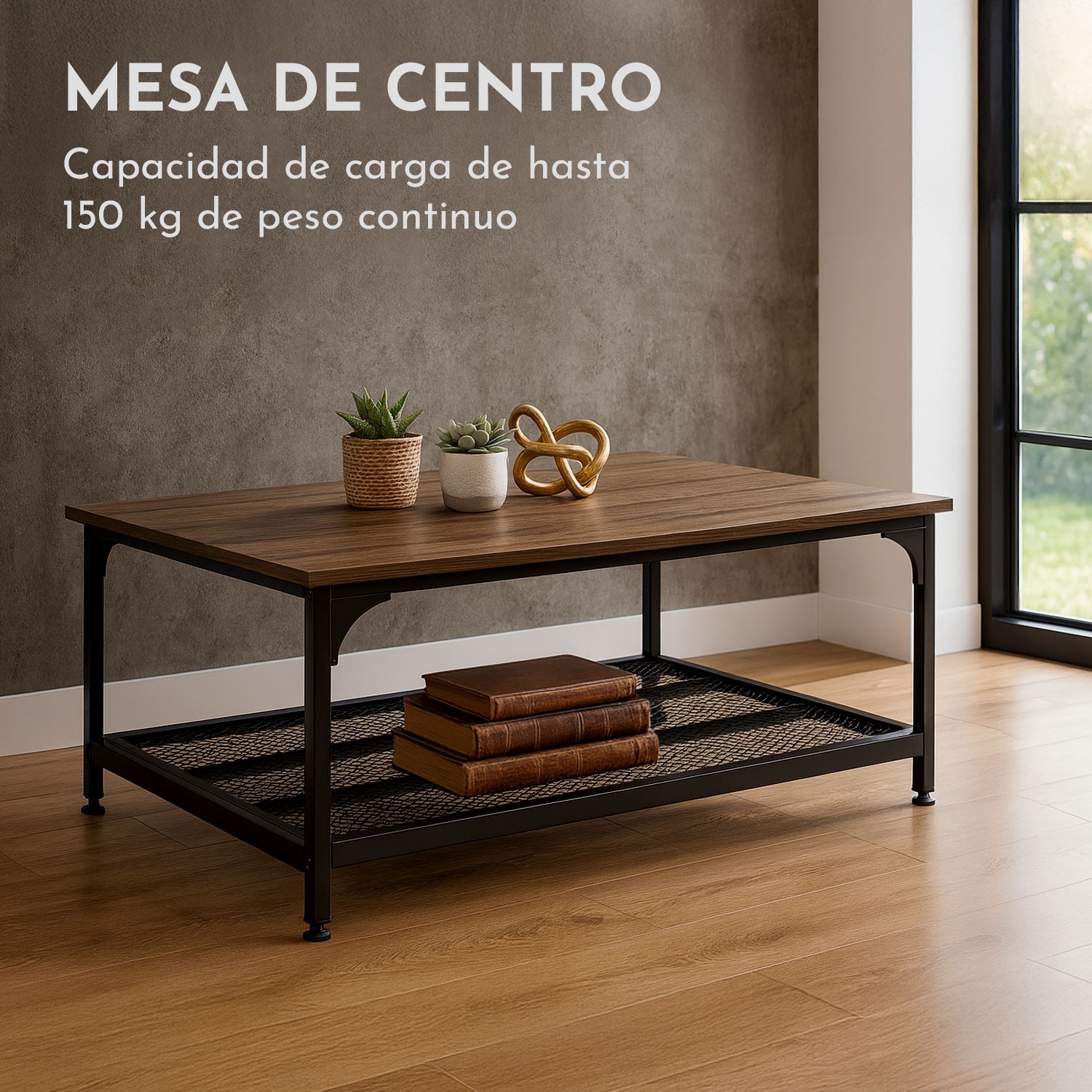 Mesa Centro Sala Minimalista Industrial Acero 100x60x47cm Houzer image number null