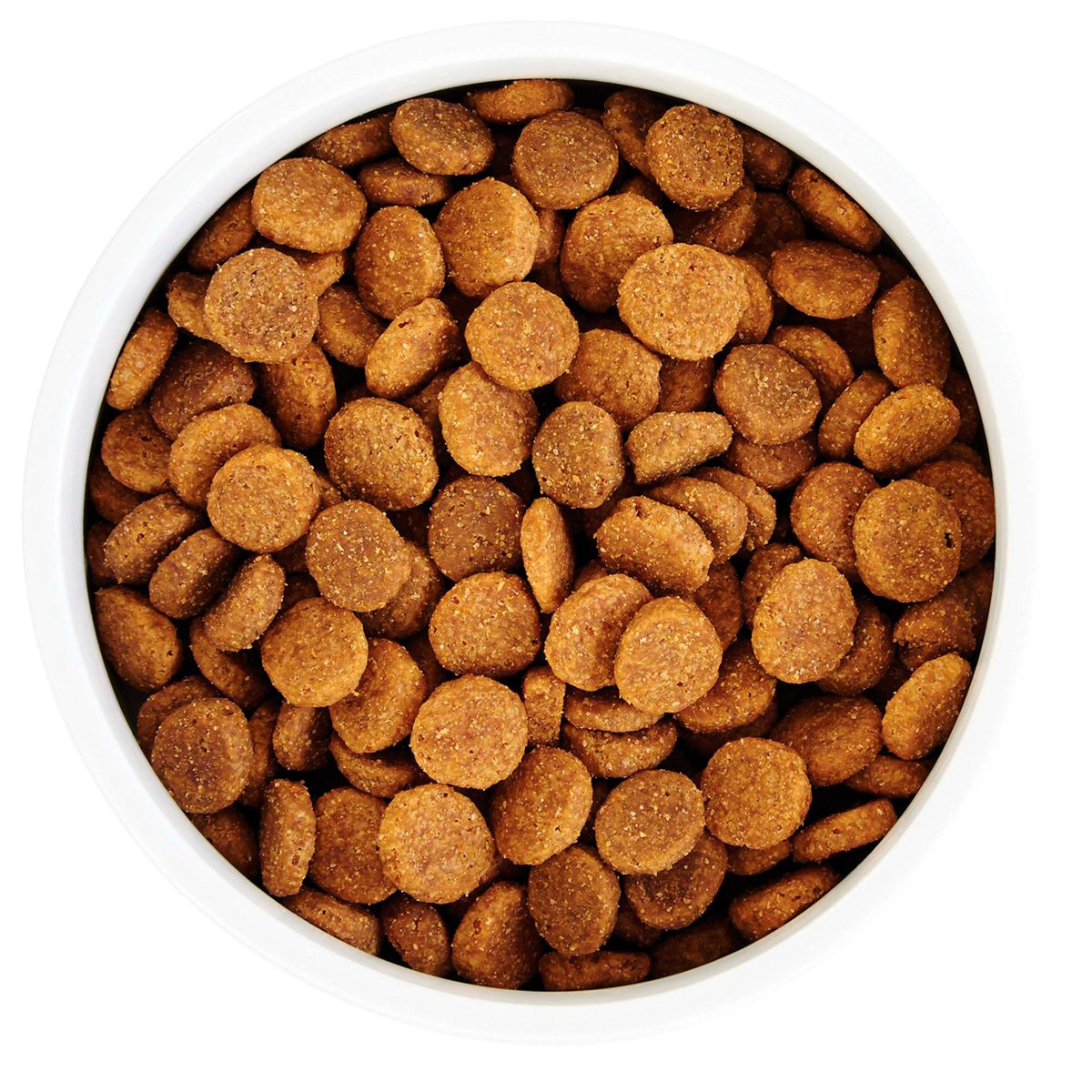 Alimento Natural para Perro adulto Receta Salmon y Chícharo 11.3 kg 