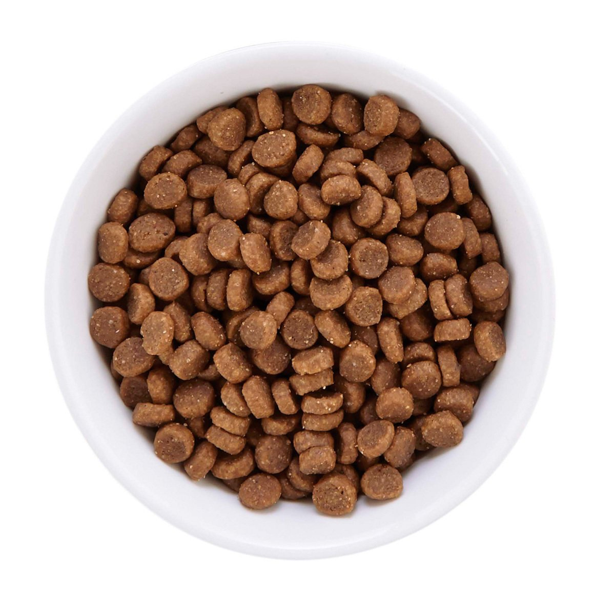 WholeHearted Libre de Granos Alimento Natural para Gatito Receta Pollo, 2.2 kg - PC-WH125341