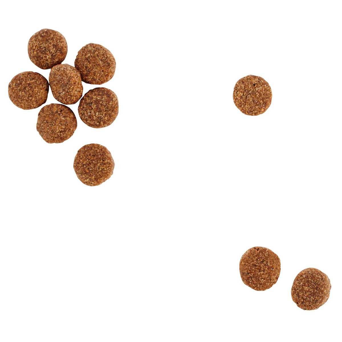 Alimento natural para perro adulto control de peso receta cordero y chicharo 11.4 kg - PC-WH125344