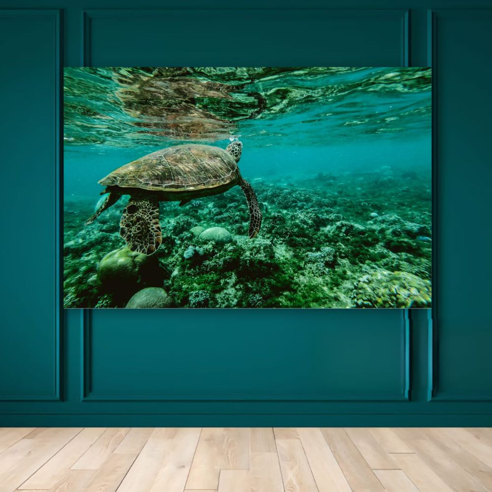 Cuadros Decorativos Animales 143cm X 89cm Tela Brillante Marco Madera