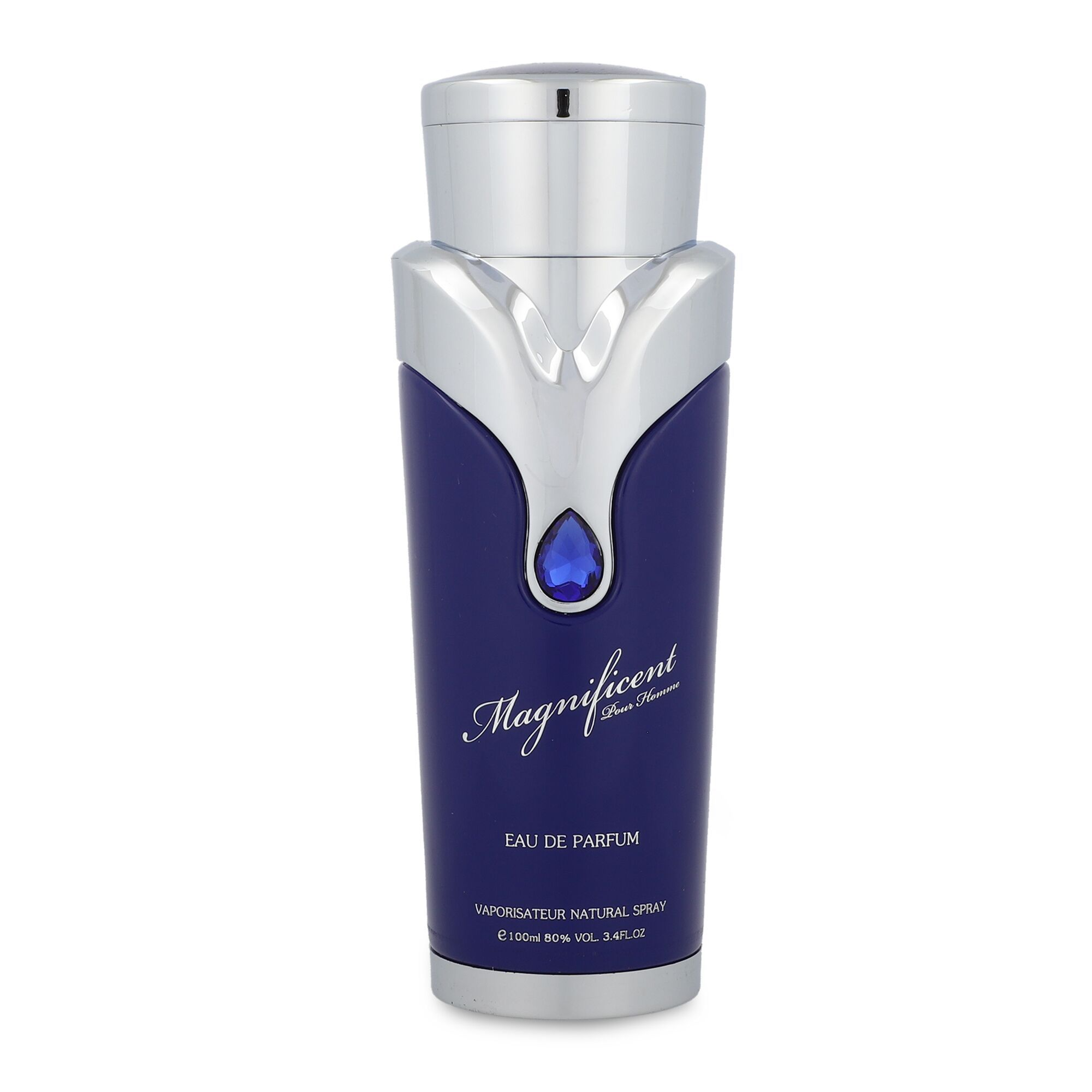 ARMAF MAGNIFICIENT BLUE POUR HOMME 100ML EDP