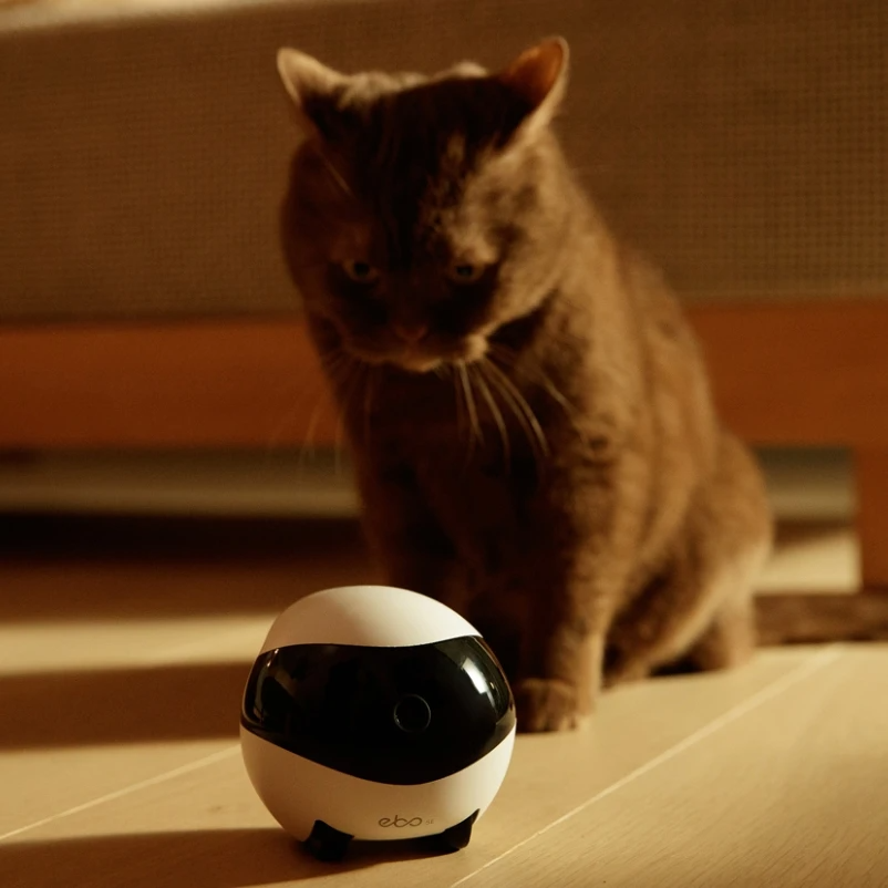 Robot Enabot EBO SE con Cámara HD,  Control Remoto para Vigilar e Interactuar con Mascotas, Familia y Amigos 