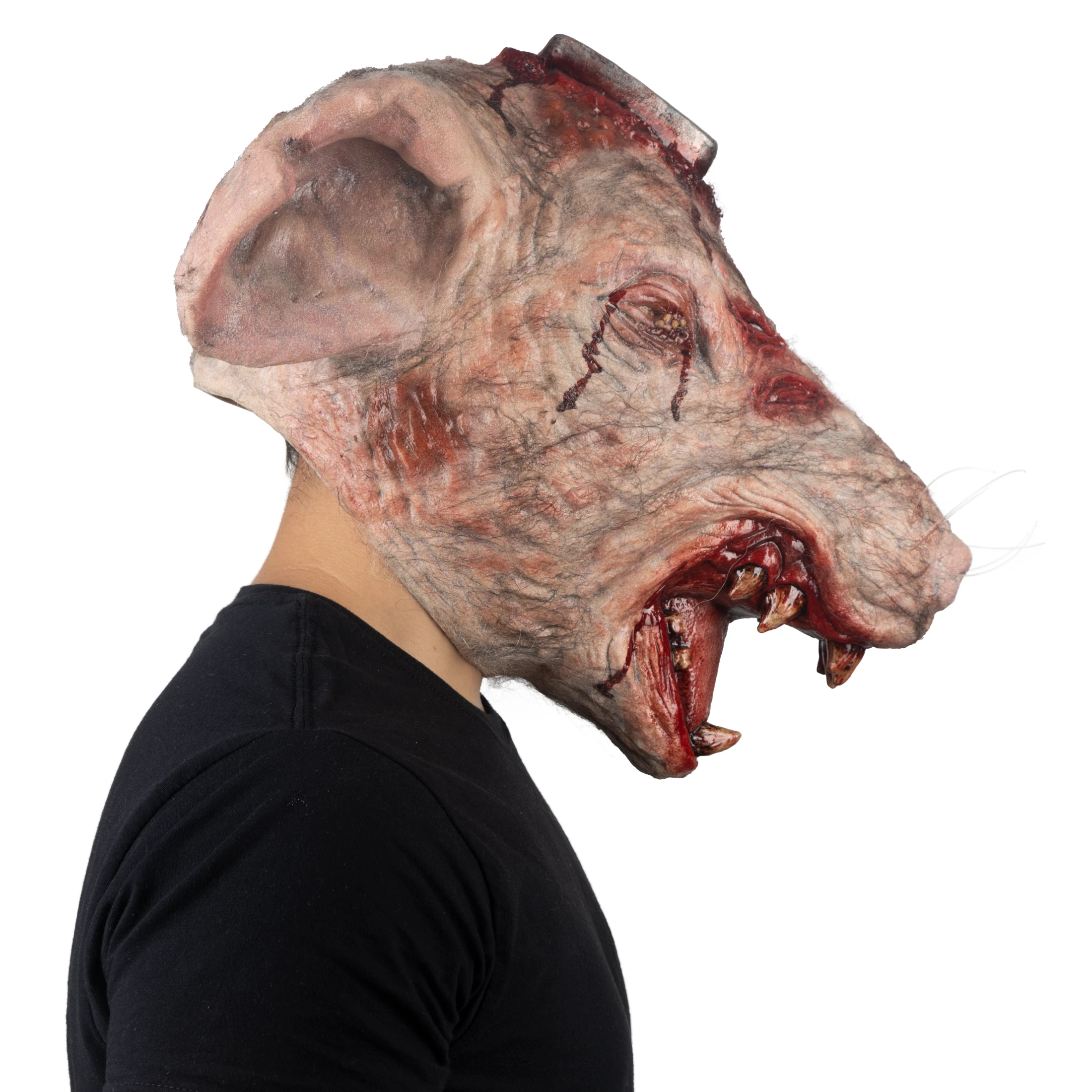 Máscara De Rata Radioactiva Mutante Rt.t 418 Ghoulish Productions, Disfraz Halloween Terror.