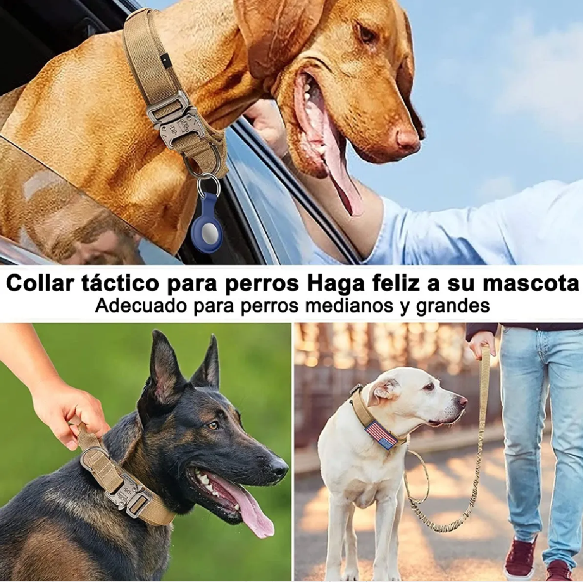 Collar Y Cuerda Para Perros CaquiI Talla Mediana 