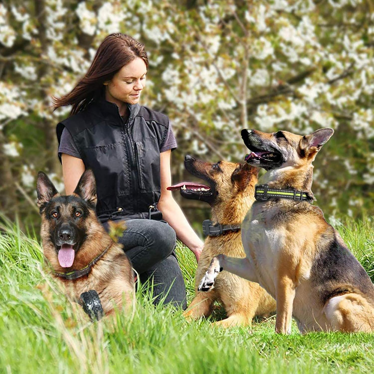 Collar Eléctrico Para Entrenamiento De Perros 3PZ Negro Con Lineas Verdes 