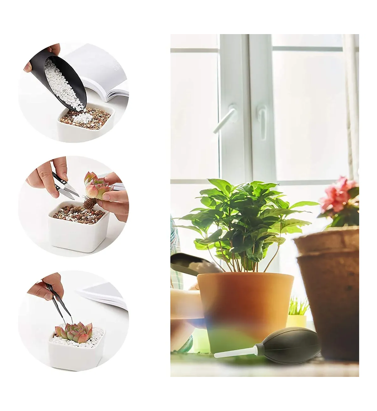 Herramientas Jardín Para Suculenta Belug Con Tijeras De Podar 22pc