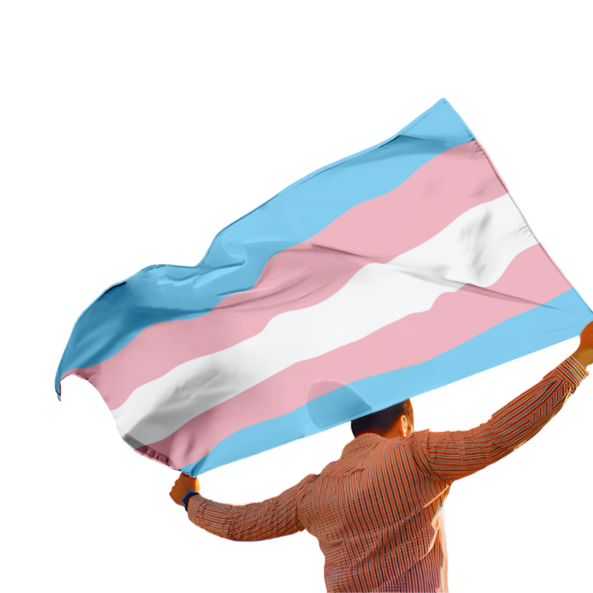 Bandera  para Marcha y Decoracion Transgénero  Decoración LGBT+ | Tamaño Chica Transexual