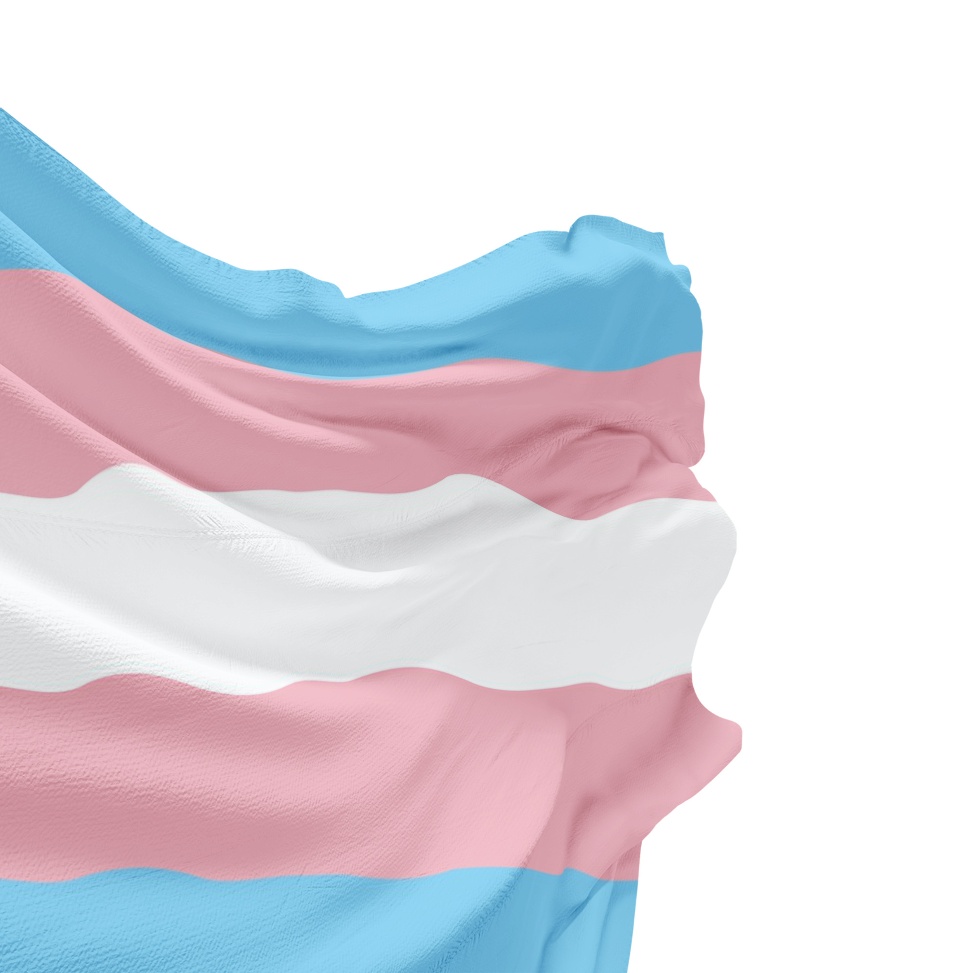 Bandera  para Marcha y Decoracion Transgénero  Decoración LGBT+ | Tamaño Grande Transexual