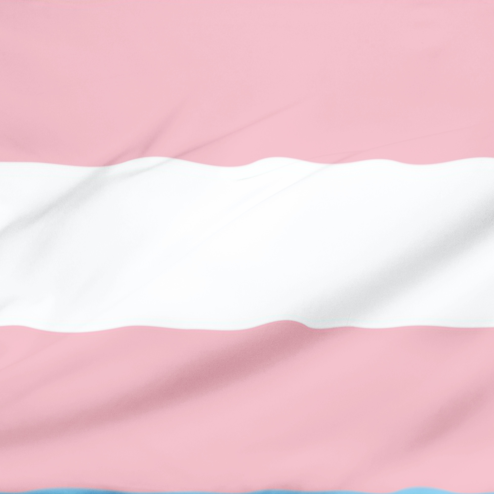 Bandera  para Marcha y Decoracion Transgénero  Decoración LGBT+ | Tamaño Chica Transexual