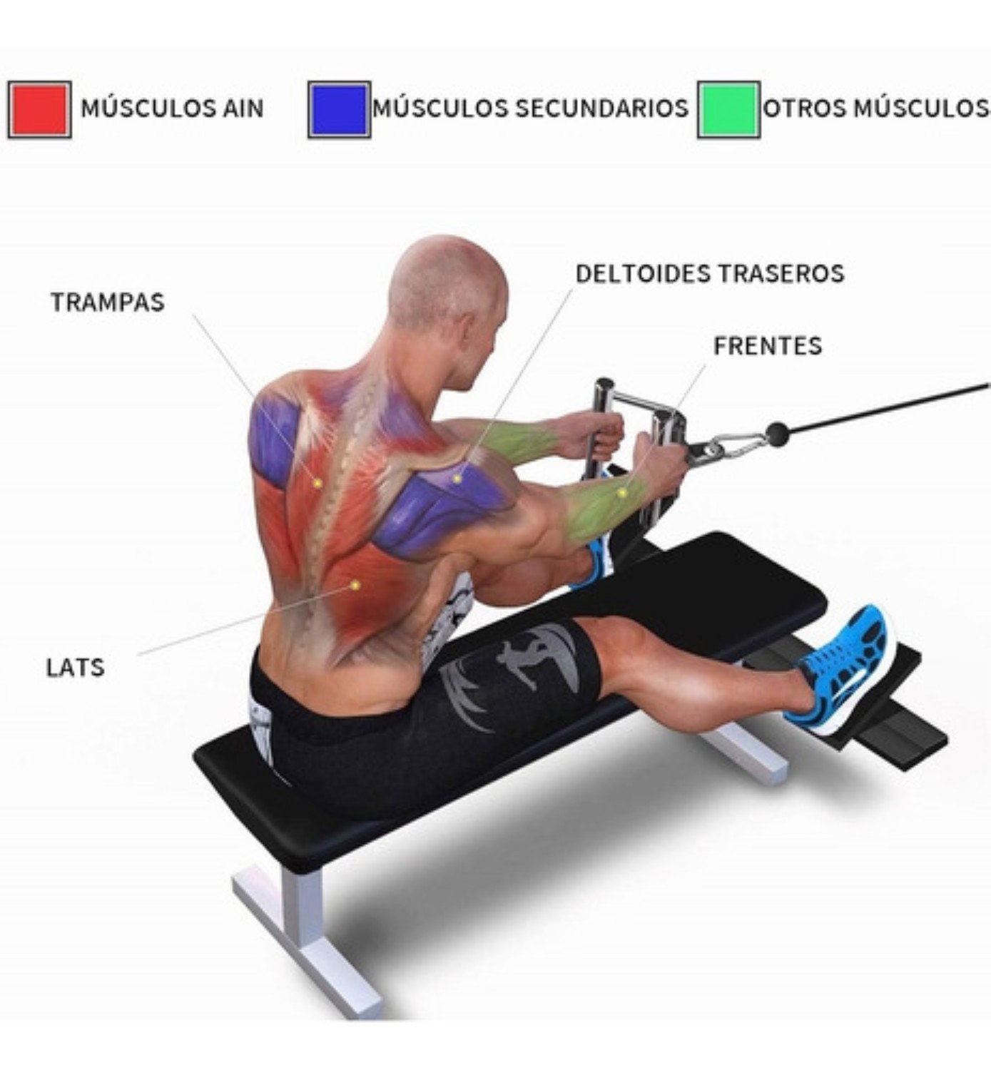 Agarre Triangular Para Remo Gym Tipo Doble D Recubierto Plata Negro 