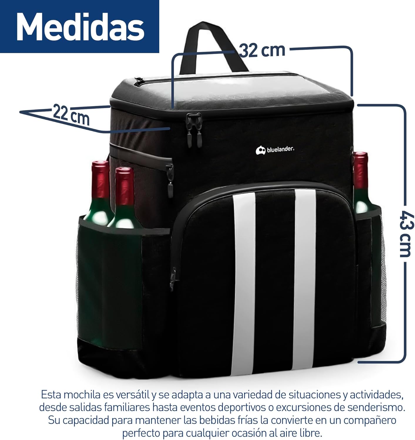 Lonchera Térmica Aislada Portátil, Capacidad de 27 L, Negro, Bluelander