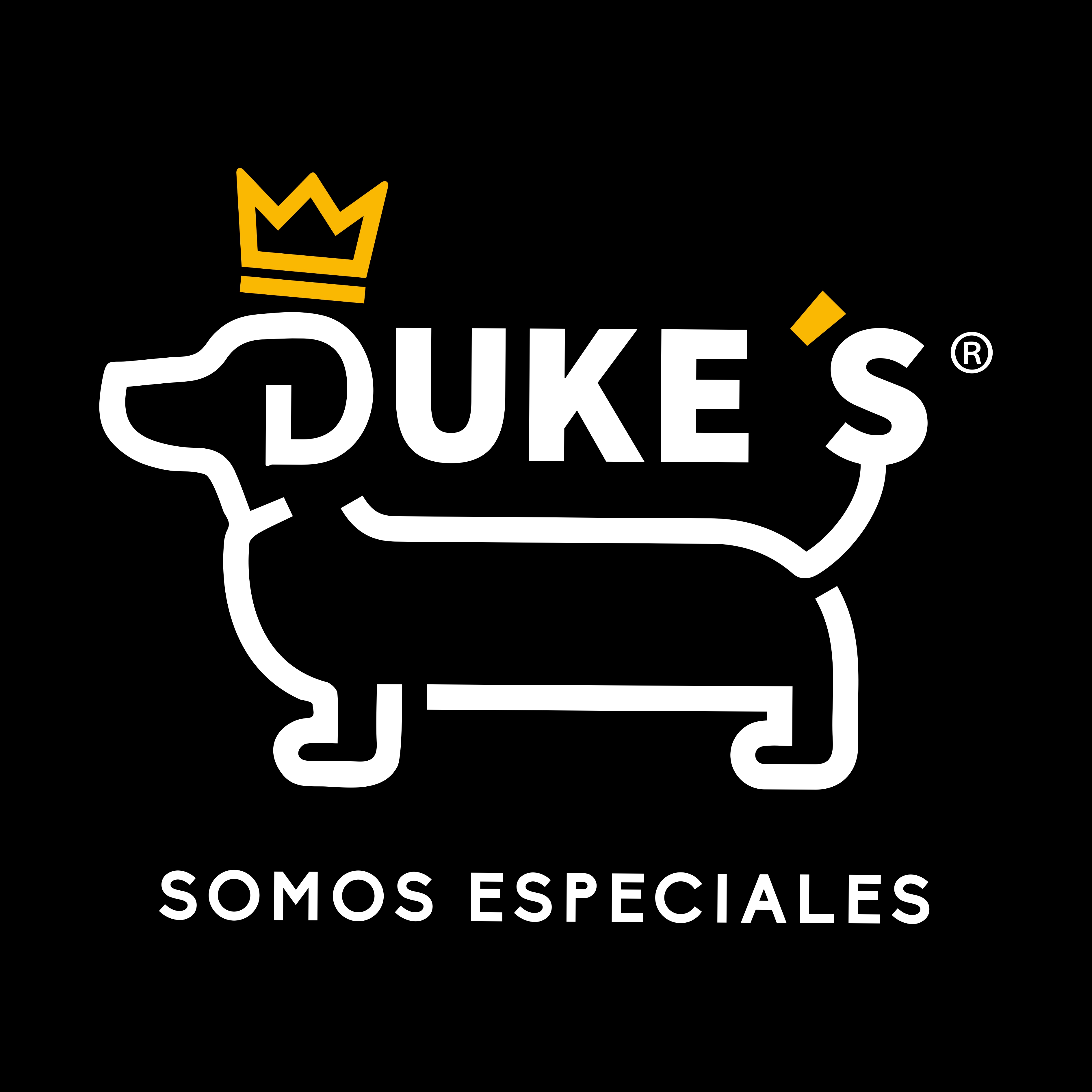 DUKE'S Premios para Perros Esófago Res 130g Proteina Premium 100% Naturales Sin Conservadores