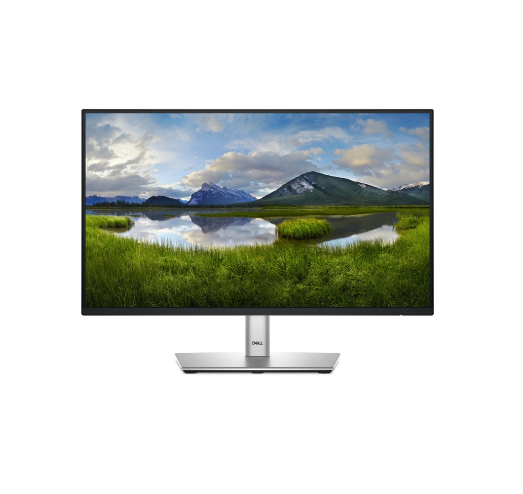 Monitor Dell P2225H LCD 21.5", 1920x1080 Full HD, 100Hz, HDMI/DisplayPort, Negro/Plata.