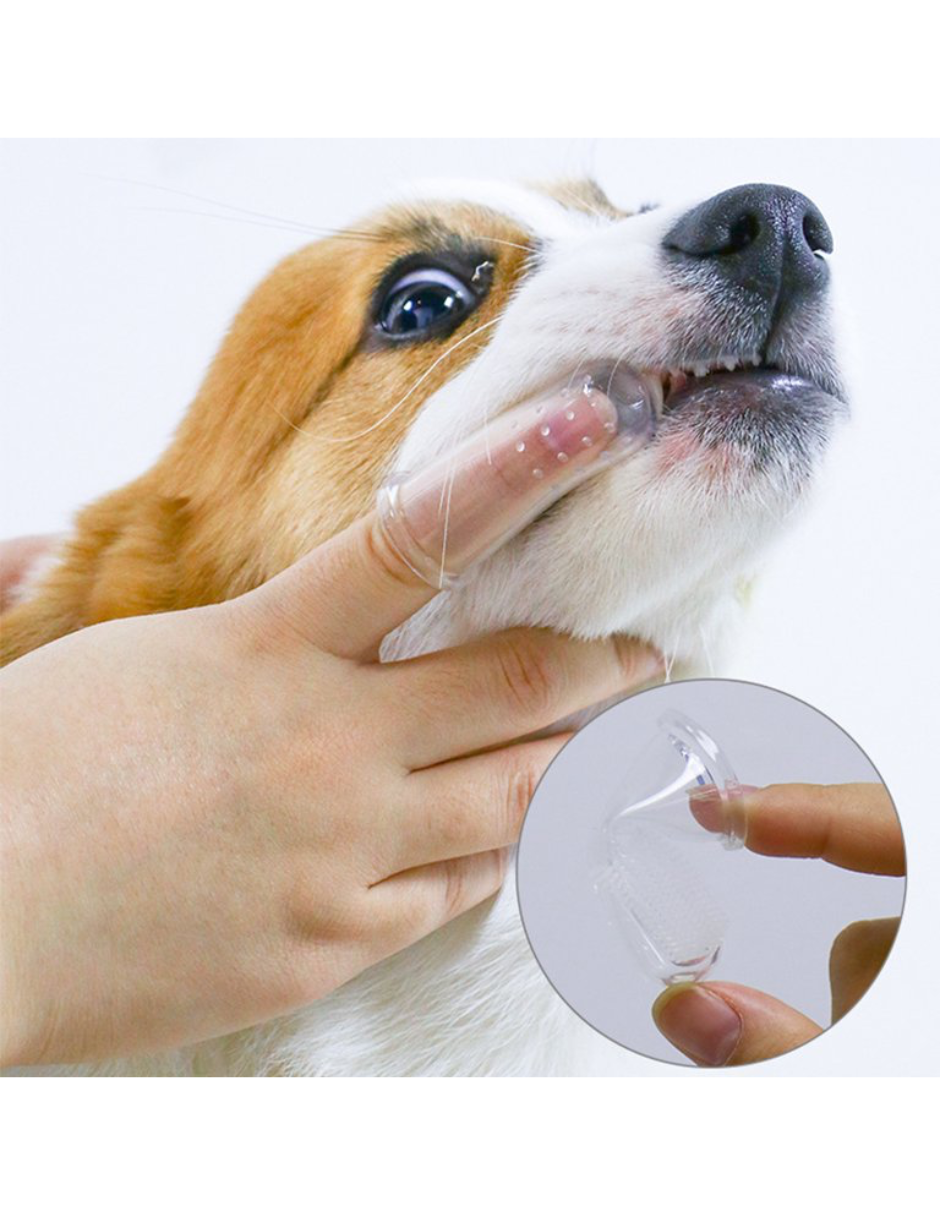 Cepillo de dientes de silicón para mascotas