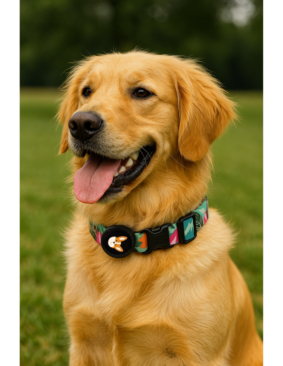 Collar para perro Mod. Quebec Mediano.