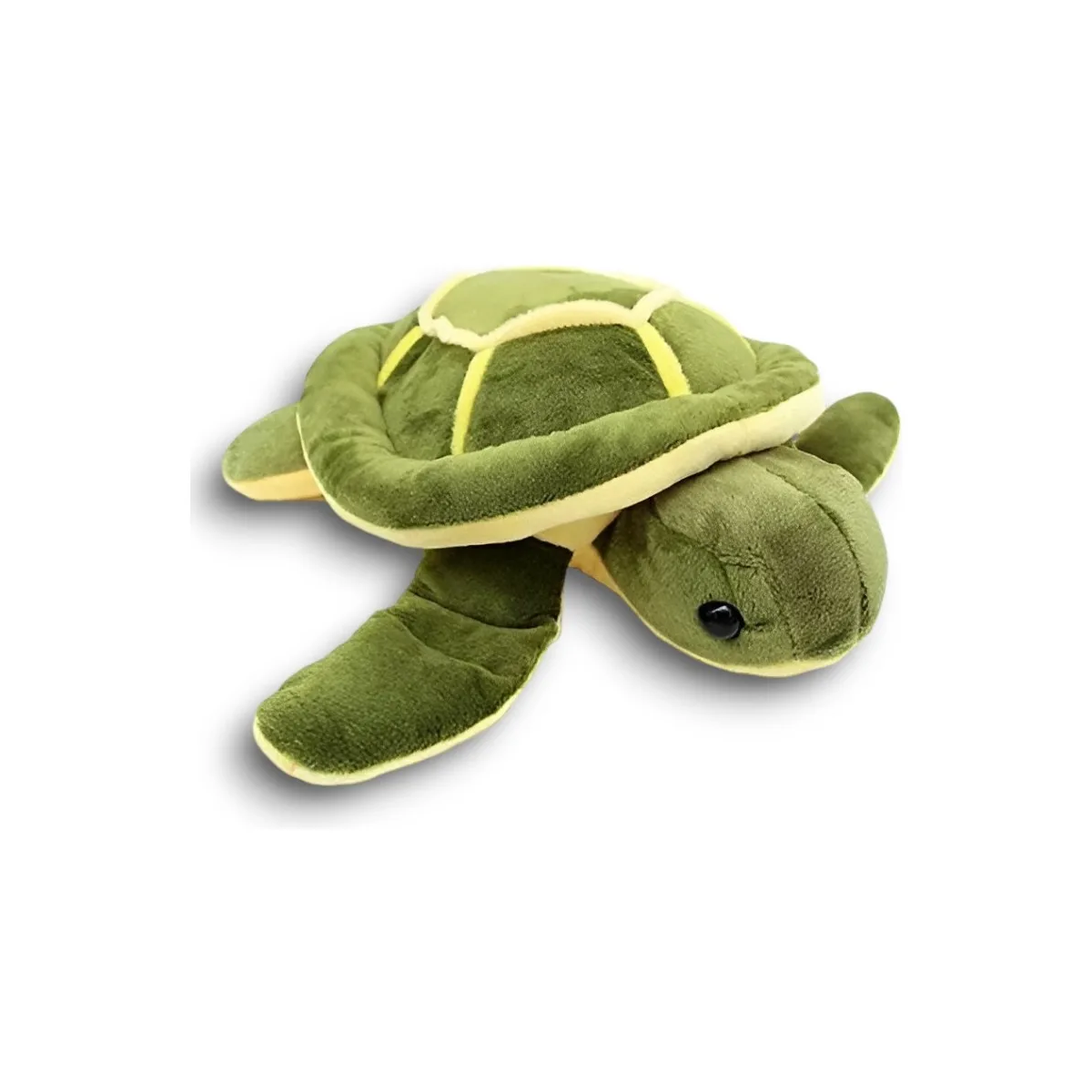 Tortuga De Peluche 23 Cm