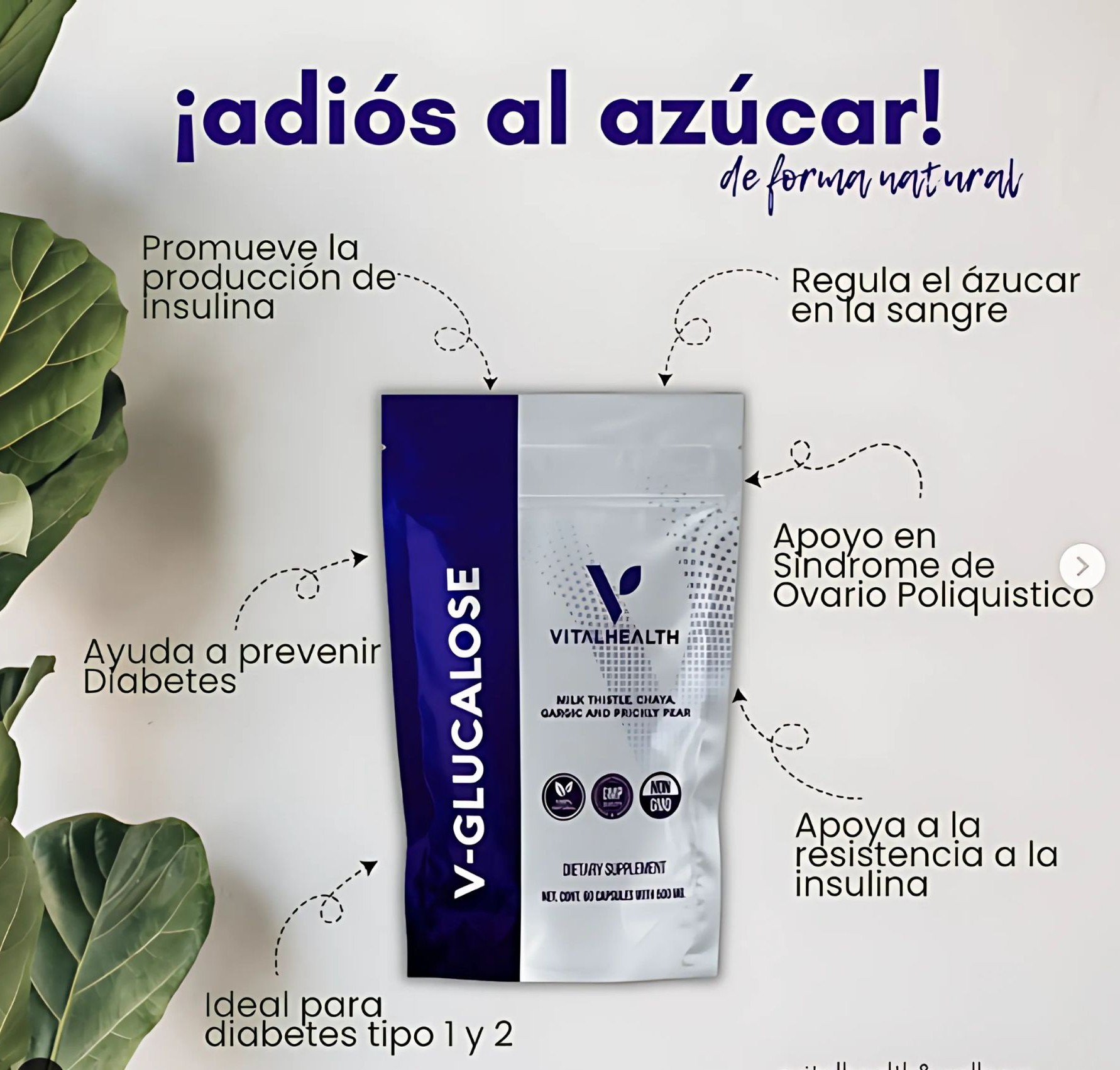 V-Glucalose VitalHealth 60 Cápsulas | Control Natural de Azúcar, Insulina y Metabolismo | 100% Natural