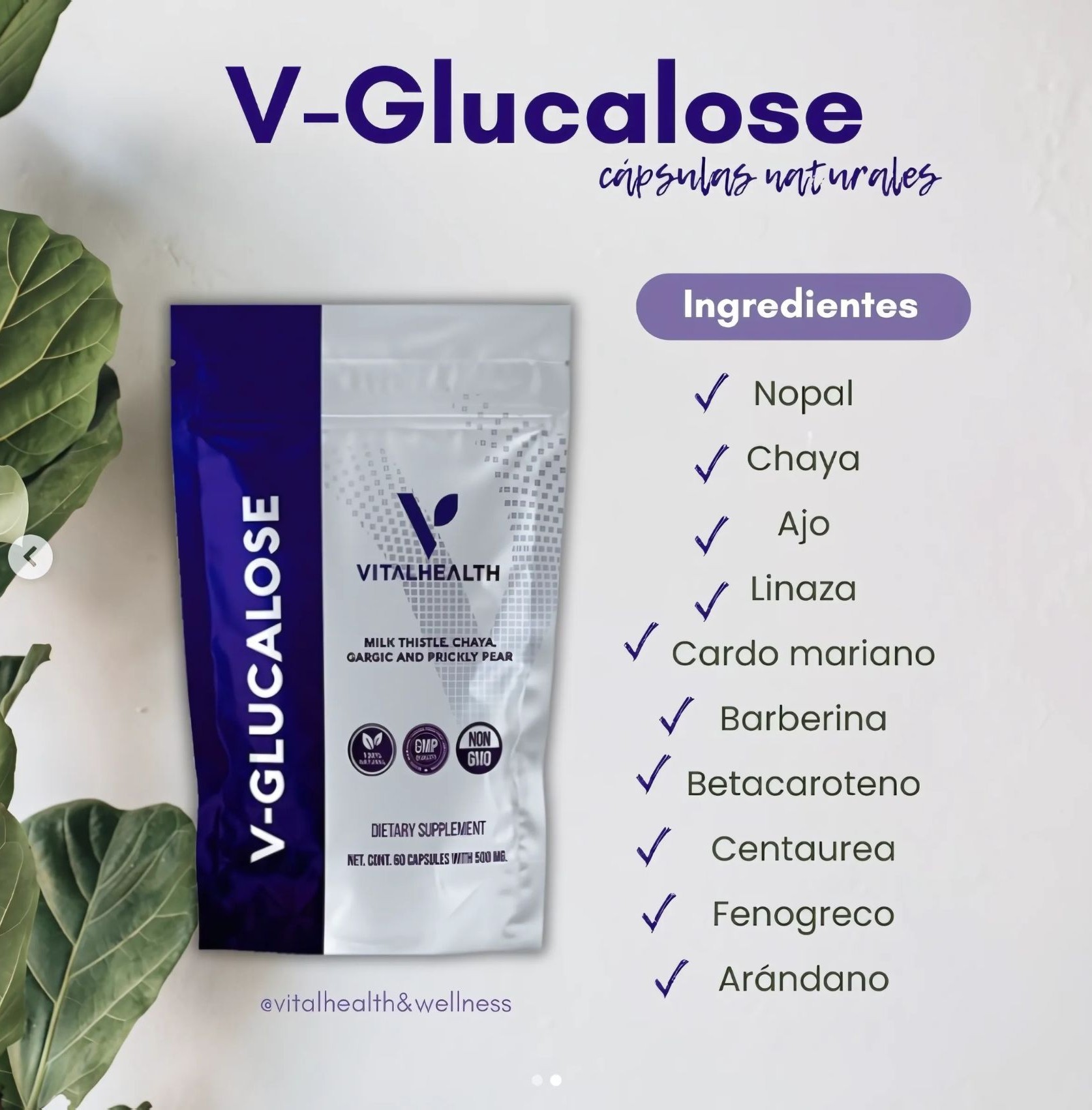V-Glucalose VitalHealth 60 Cápsulas | Control Natural de Azúcar, Insulina y Metabolismo | 100% Natural