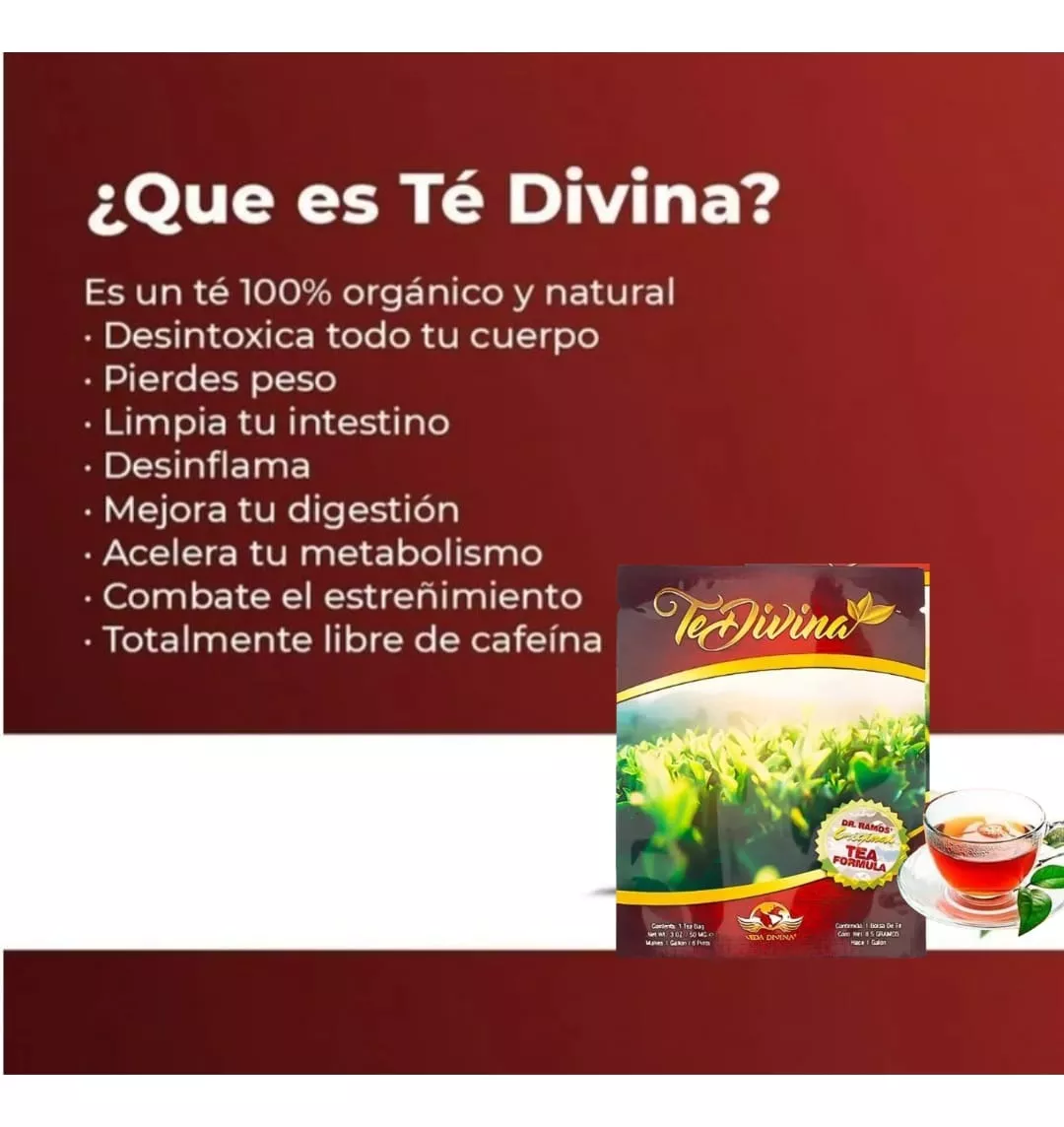 Té Divina Original 4 Sobres – Detox Natural de 1 Mes – 12 Hierbas Orgánicas – Vida Divina Sin Cafeína
