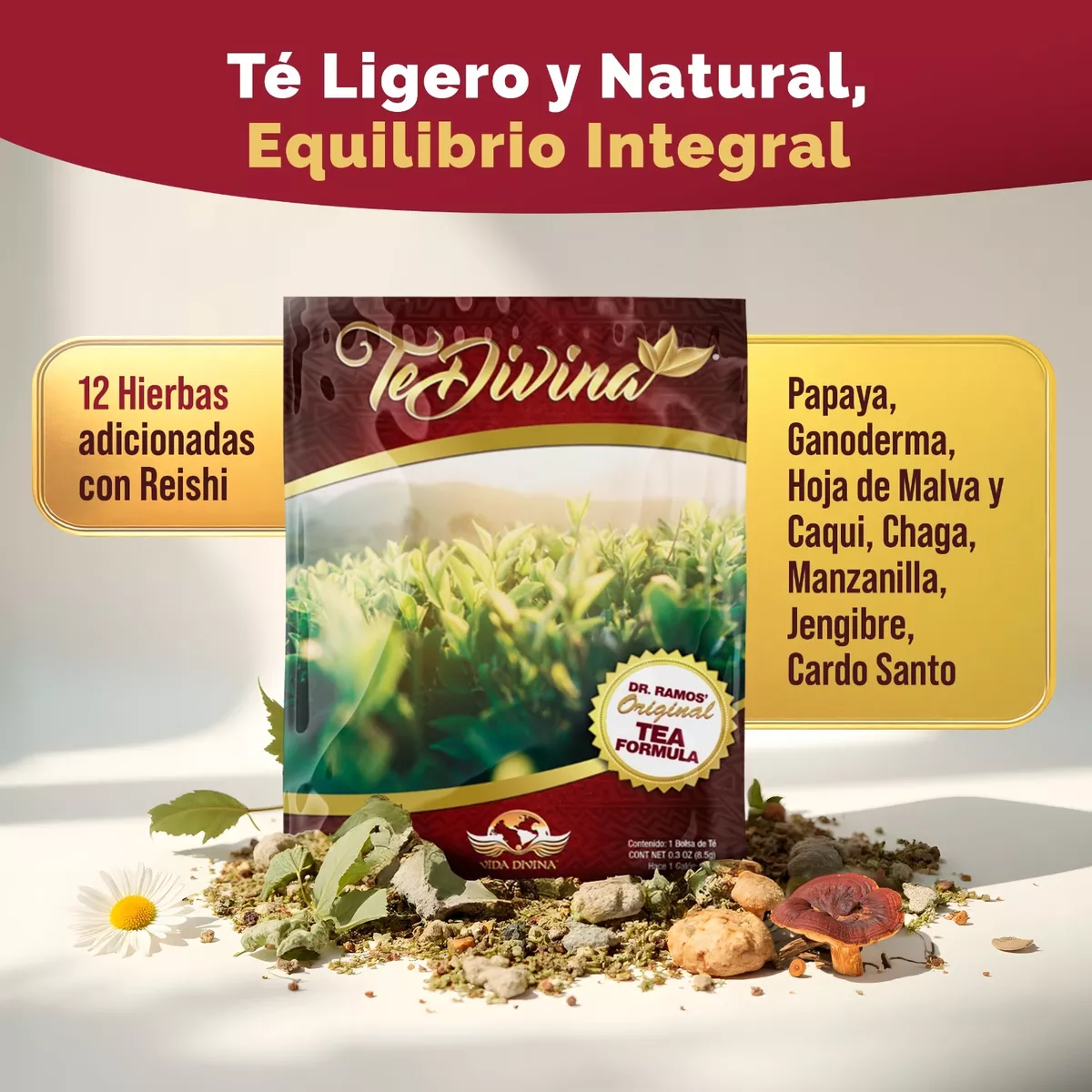 Té Divina Original 2 Sobres – Detox Natural para 2 Semanas – Vida Divina con 12 Hierbas Sin Cafeína