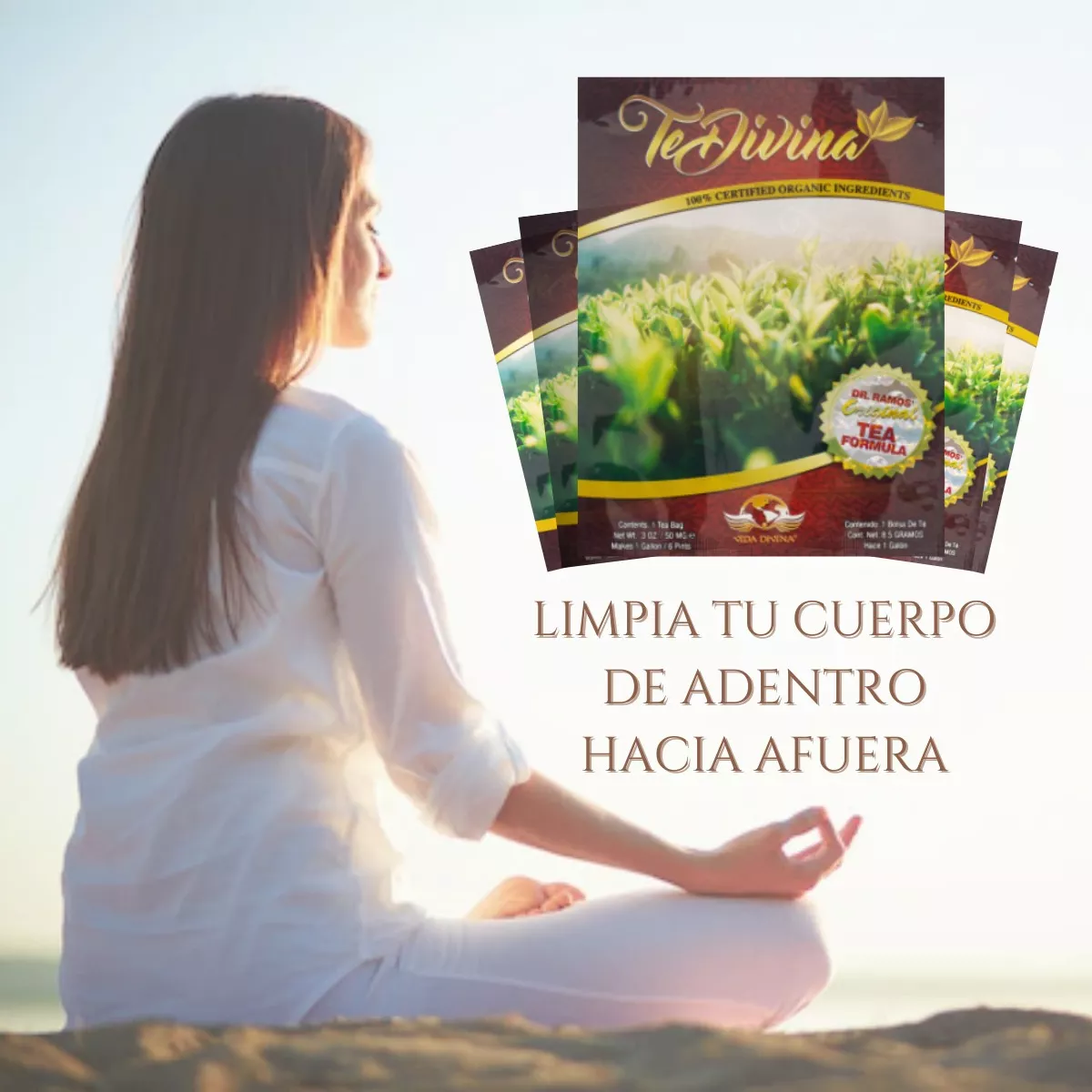 Té Divina Original 2 Sobres – Detox Natural para 2 Semanas – Vida Divina con 12 Hierbas Sin Cafeína