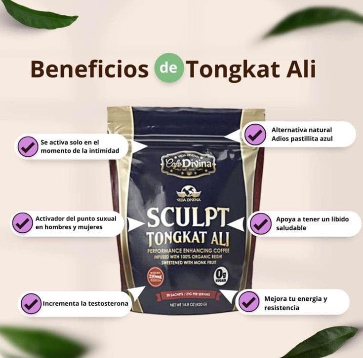 Café Sculpt Tongkat Ali Vida Divina | Reishi Orgánico, 0g Azúcar, 20 Sobres | Energía y Bienestar